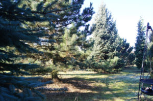 park-i-ogrod-high