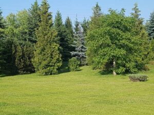 dom-seniora-nad-stawem
